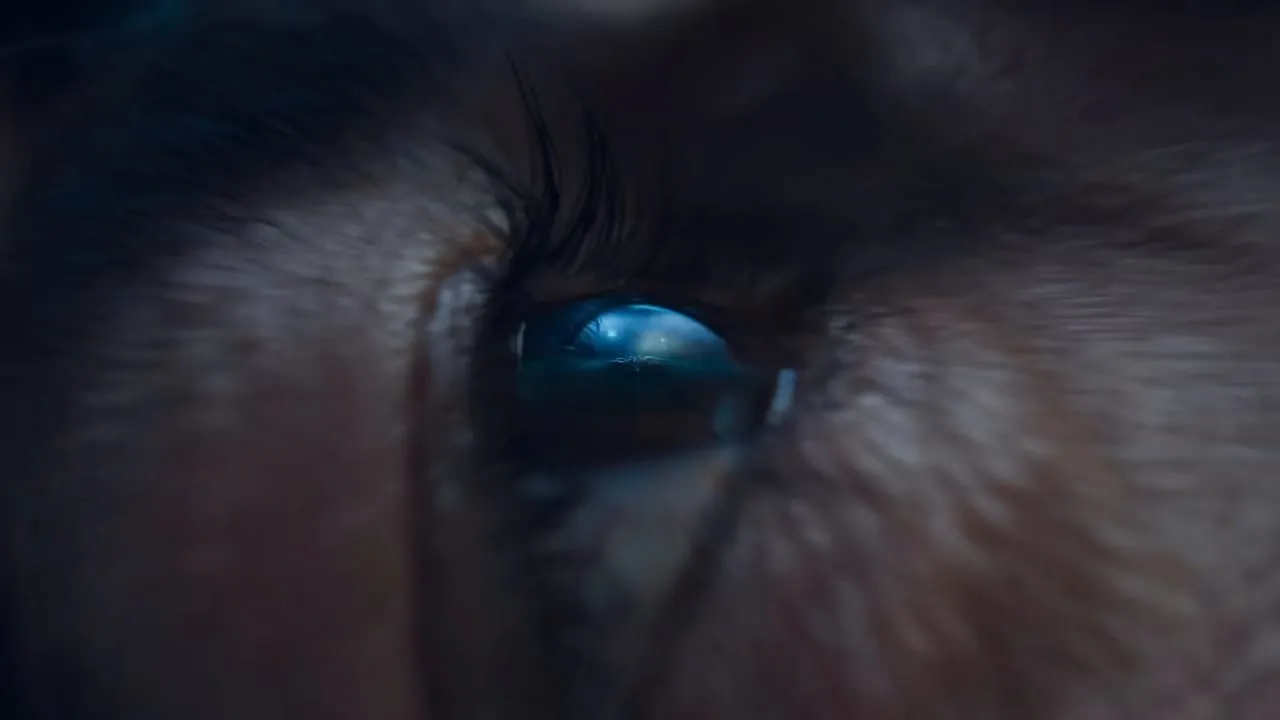 Extreme close-up of an eye, the arena reflected in it